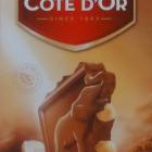 Cote dOr pion 12 lait noisettes_cr